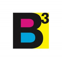 b-cube-service-group